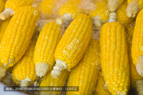 鮮食水玉米