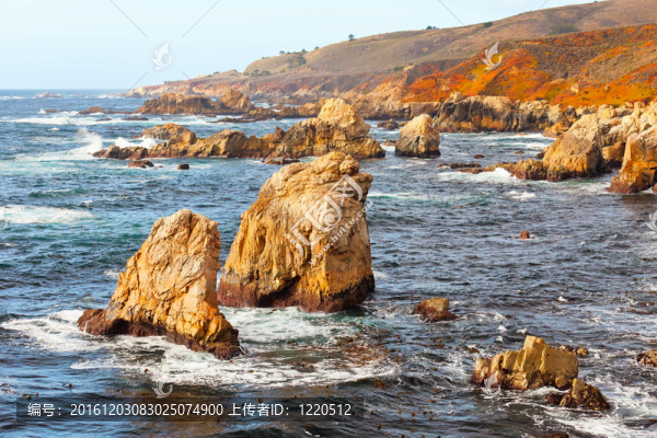 大瑟爾太平洋海岸