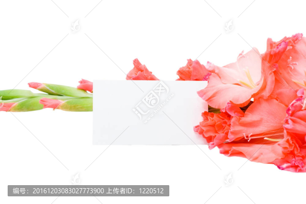 祝賀