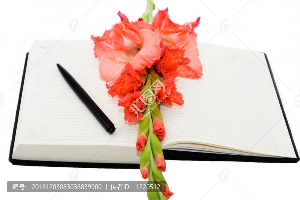 個人日記和花