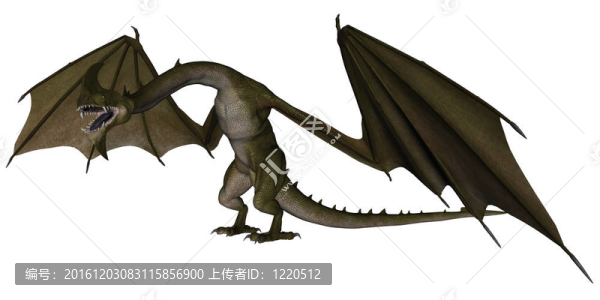 夢(mèng)幻龍