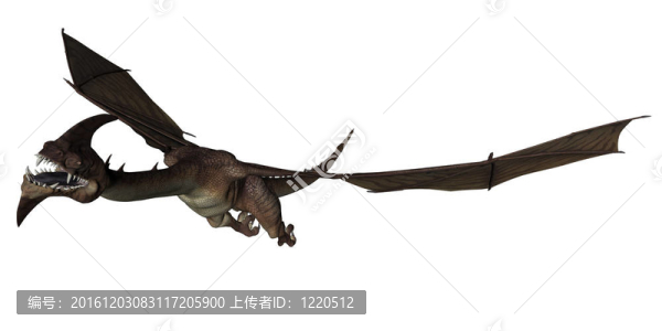 夢幻龍