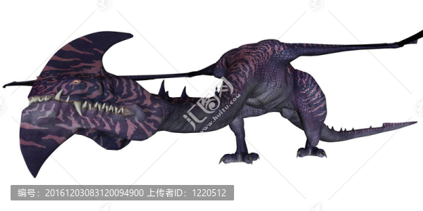 夢幻龍