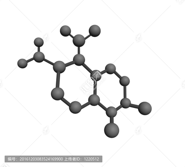 分子
