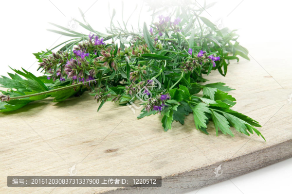 山蘿卜；香菜；牛至；案板上胸