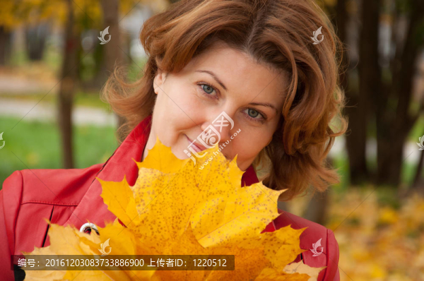 秋天公園里的女人帶著一束楓葉