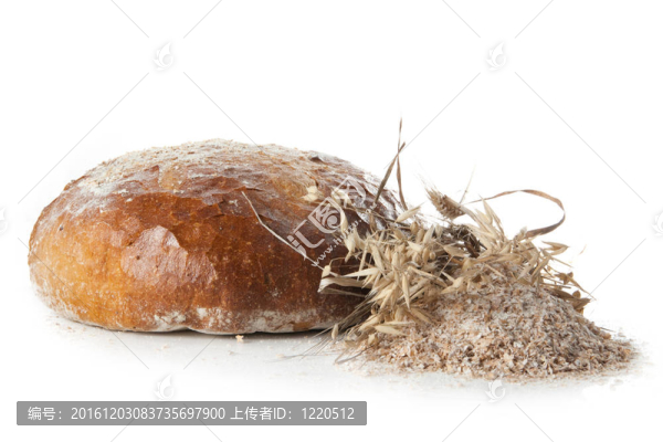 每日的面包