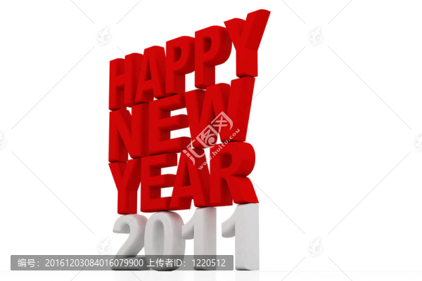 新的一年2011