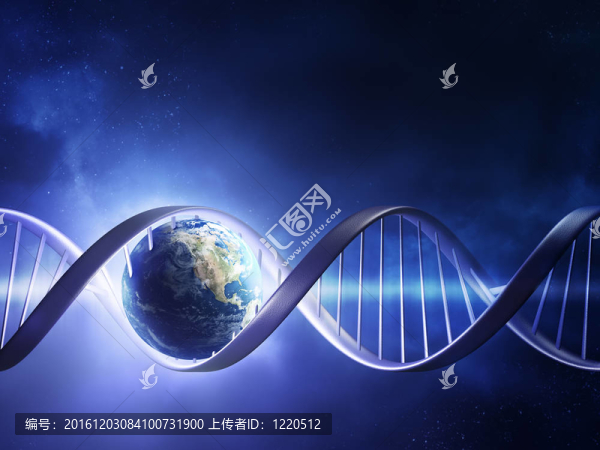 發(fā)光的地球DNA鏈