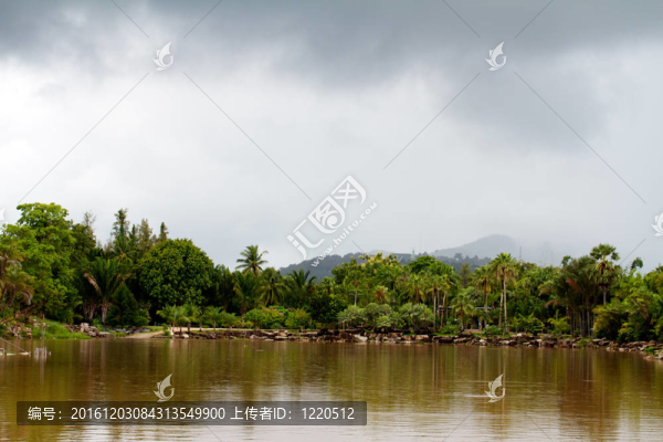 叢林中的河流；泰國