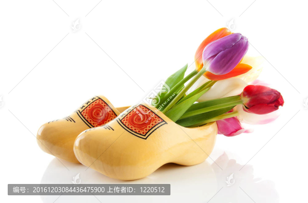 一對(duì)傳統(tǒng)的黃色木鞋與五顏六色的郁金香