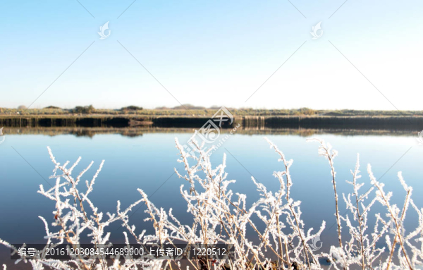 寒冷的樹(shù)枝在雪與冷藍(lán)色的天空和河流