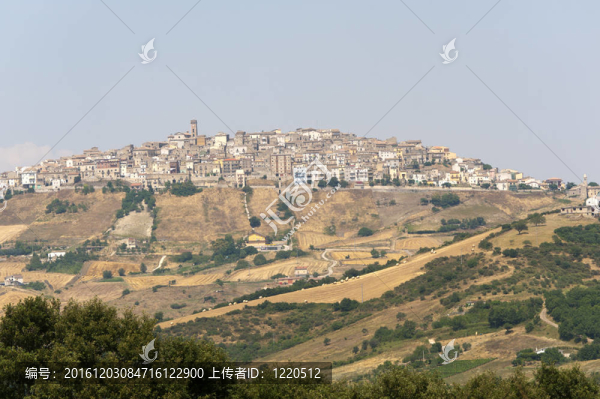 Forenza（波坦察；巴斯利卡塔大區(qū)；意大利）在夏天