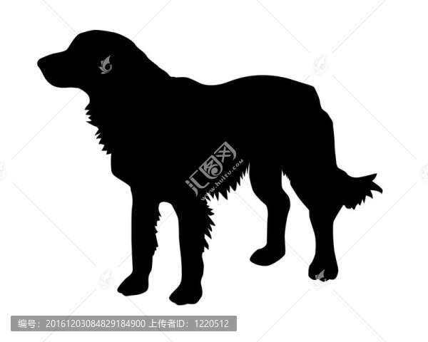 雜亂的狗的插圖