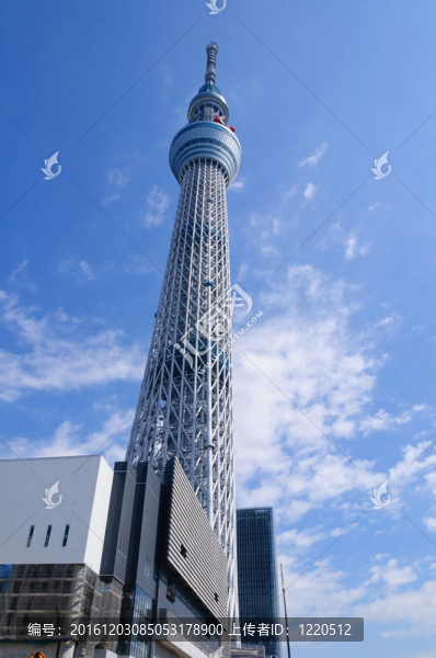 東京天空樹