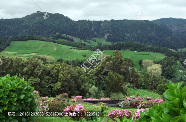 全景的風(fēng)景在亞速爾群島