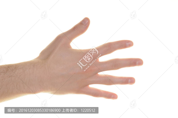 男孩的手