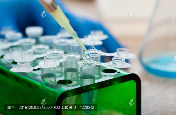 分子生物學(xué)