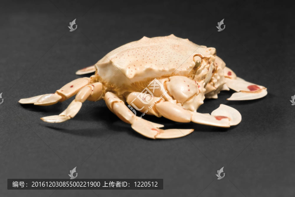 黑暗中的月亮蟹