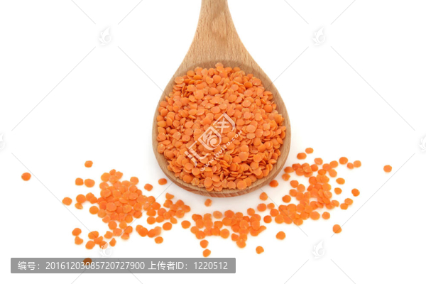 扁豆
