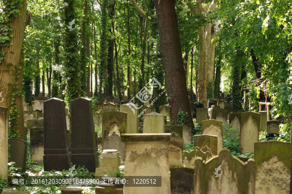 柏林某老墓地的細(xì)節(jié)
