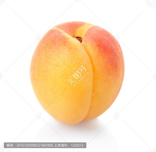 帶裁剪路徑的杏