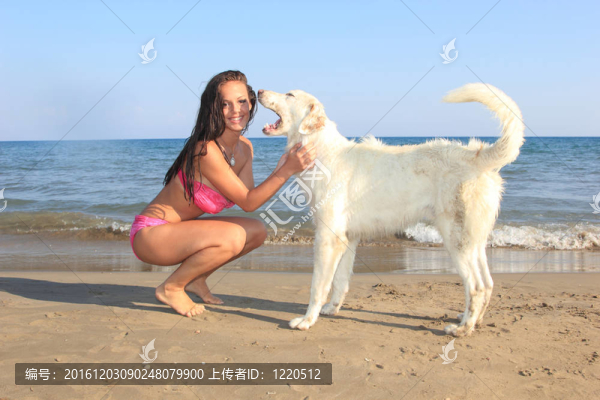 年輕的女人和她的狗玩