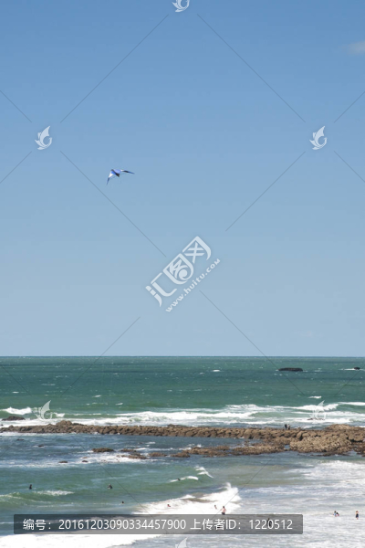 法國(guó)大西洋海岸上空藍(lán)色和白色的風(fēng)箏