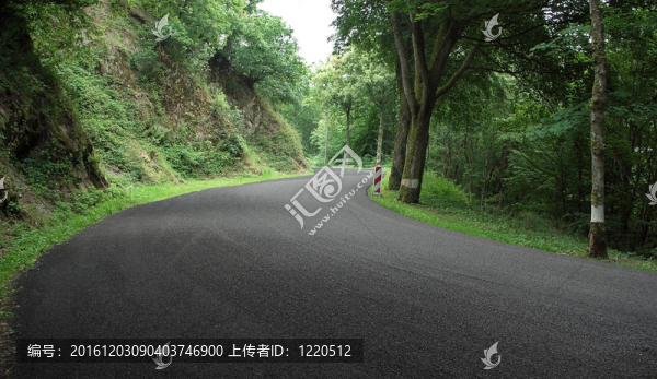阿登路在夏天的時候