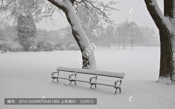 倫敦的冬天。