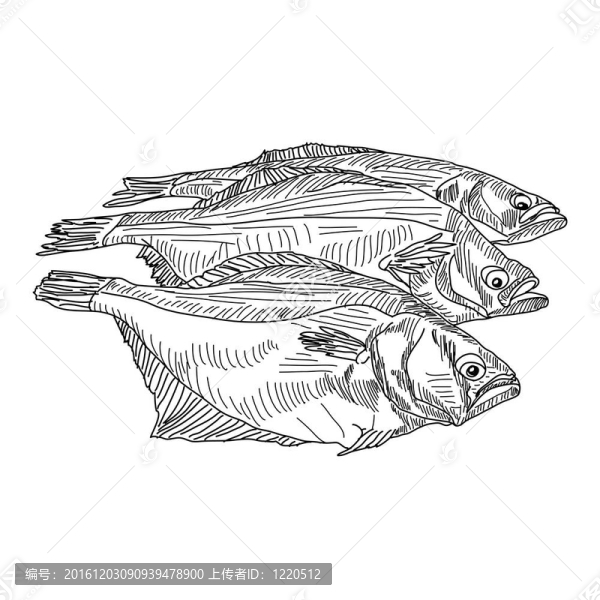 圖手魚