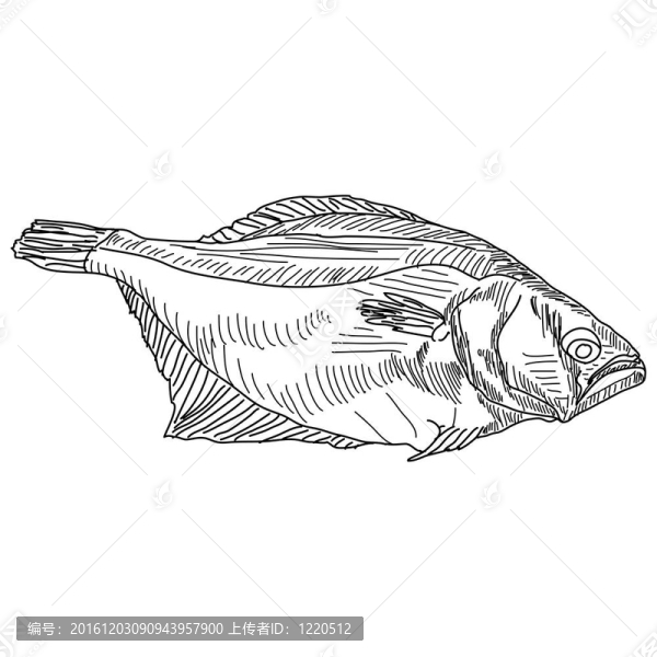 圖手魚(yú)