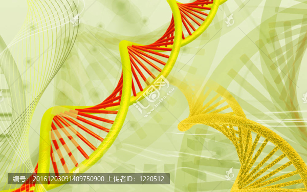 DNA