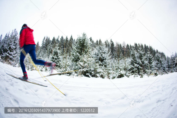 青年越野滑雪