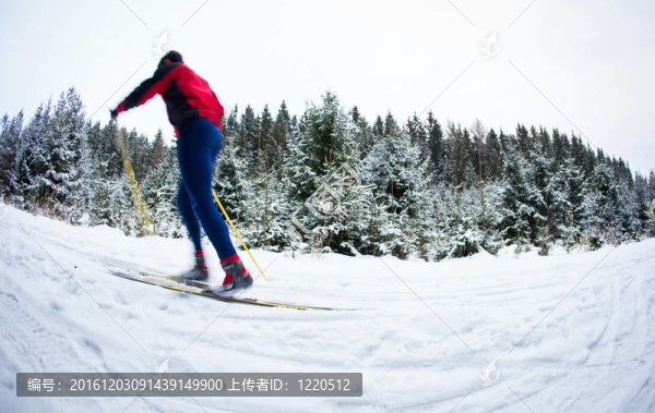 青年越野滑雪