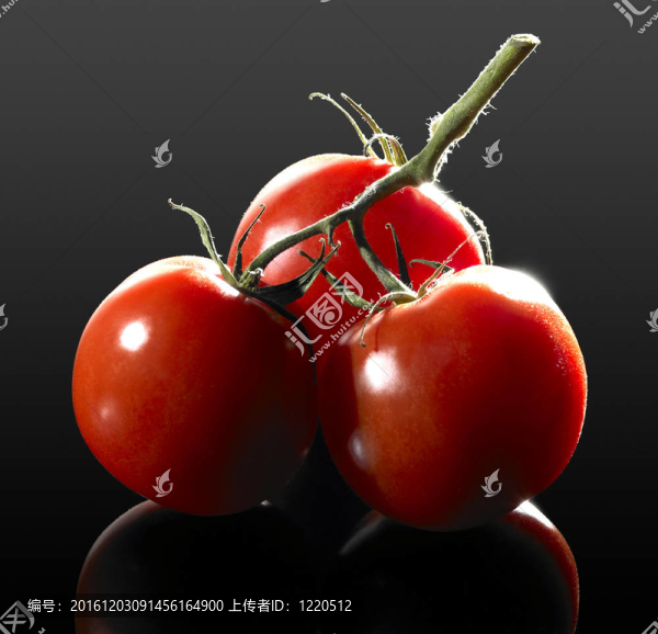 番茄束