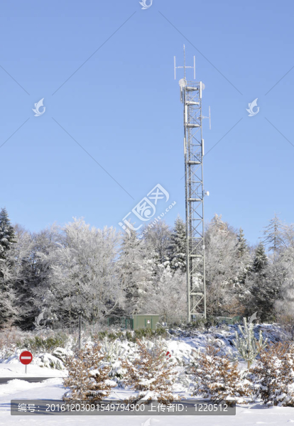 冰雪天空中樹木天線的冬季景觀