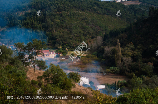 森林中的山林大火