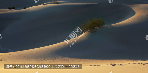 沙丘細(xì)滑輪廓
