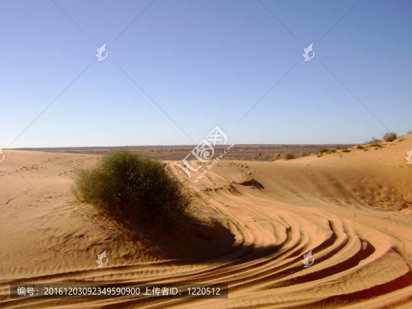 澳大利亞沙漠場景