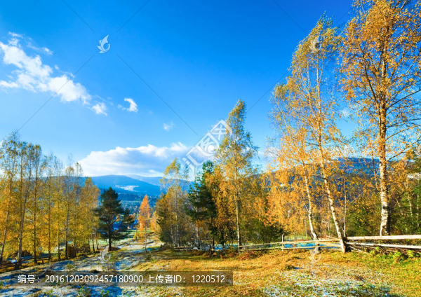 秋霜在山區(qū)林間空地