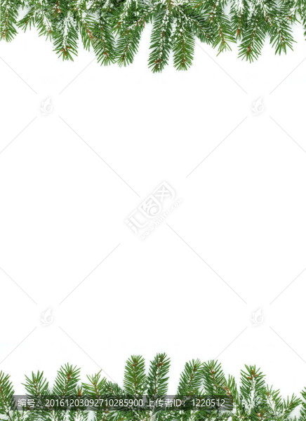 雪的圣誕框架