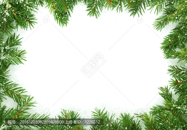 雪的圣誕框架