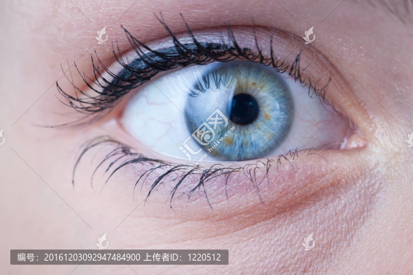 接近一個美麗的女性藍眼睛