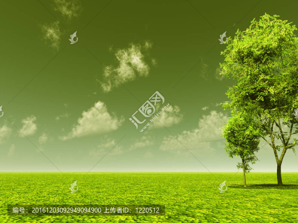 美麗的風(fēng)景