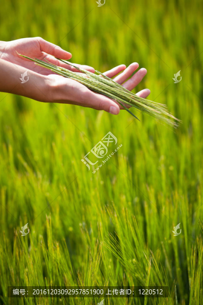 象征性的姿態(tài)表明生育；充實(shí)；健康