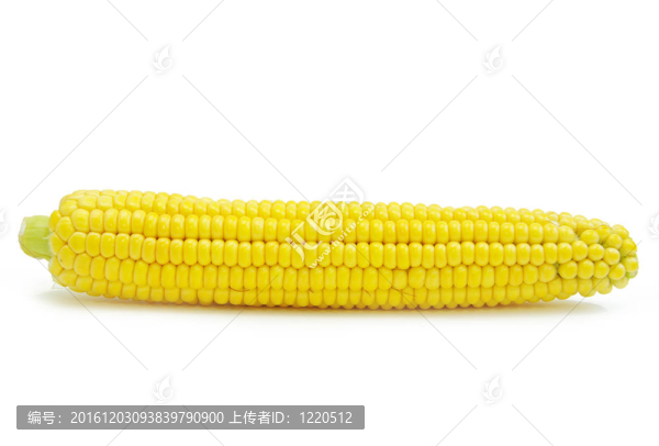 玉米