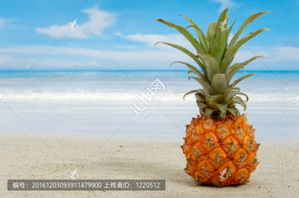 菠蘿和異國(guó)情調(diào)的海灘