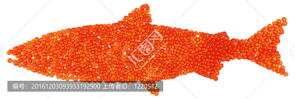 鮭魚魚子醬的魚形