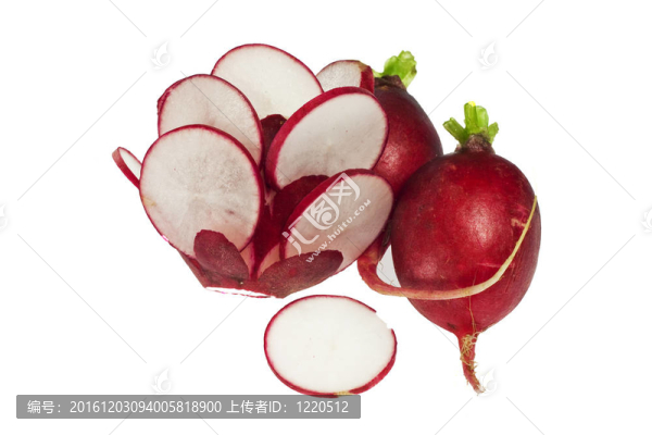 蘿卜紅